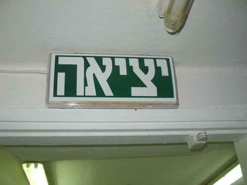 IMG_8603.jpg