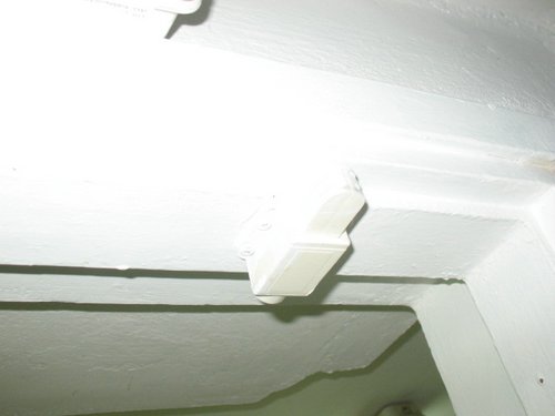 IMG_8604.jpg