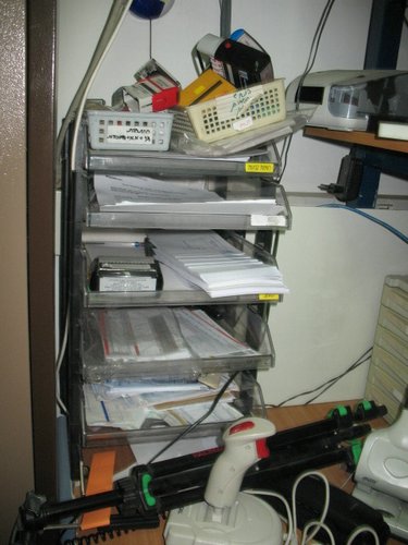 IMG_8781.jpg