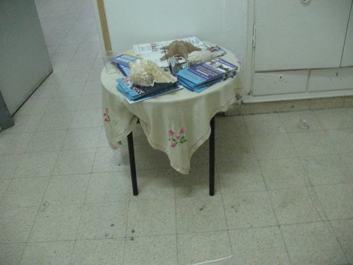 IMG_8941.jpg