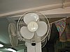 IMG_8077.jpg