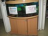 IMG_8177.jpg