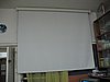 IMG_8204.jpg