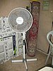 IMG_8511.jpg