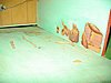 IMG_8569.jpg