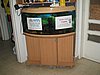 IMG_8687.jpg