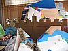 IMG_8714.jpg