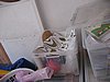 IMG_8718.jpg