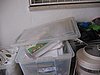 IMG_8719.jpg