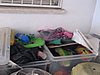 IMG_8728.jpg