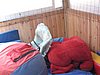 IMG_8731.jpg