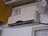 IMG_8735.jpg