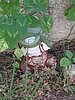 IMG_8760.jpg