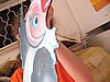IMG_8846.jpg