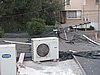 IMG_9021.jpg