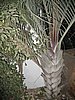 IMG_9048.jpg